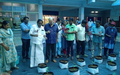 കേശവപുരം സി എച് സിയിൽ പച്ചക്കറി തൈനട്ട് ഉദ്ഘാടനം നിർവ്വഹിച്ചു