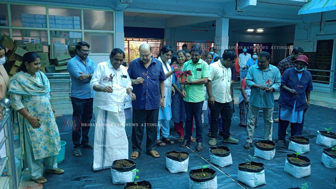 WhatsApp Image 2025-08-11 at 3.44.10 PM