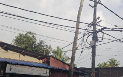 അപകട ഭീഷണി ഉയർത്തിയ തെങ്ങ് മുറിച്ചുമാറ്റി