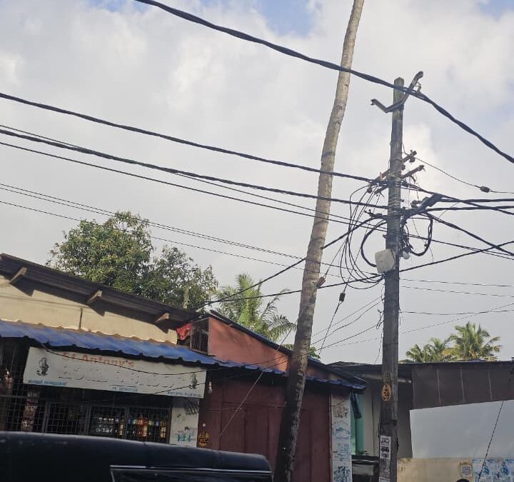 അപകട ഭീഷണി ഉയർത്തിയ തെങ്ങ് മുറിച്ചുമാറ്റി