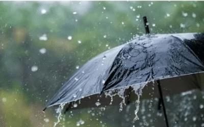 വ്യാഴാഴ്ച വരെ ഇടിമിന്നലോടുകൂടിയ മഴ; ജാഗ്രത