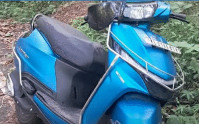 കാട്ടാനയുടെ ചവിട്ടേറ്റു തിരുവനന്തപുരത്ത് യുവാവിന്റെ വാരിയെല്ലിന് പരിക്ക്