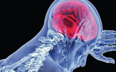 അമീബിക് മസ്തിഷ്‌ക ജ്വരം ബാധിച്ച് രണ്ടു മരണം; മൂന്ന് മാസം പ്രായമായ കുഞ്ഞും വീട്ടമ്മയും മരിച്ചു