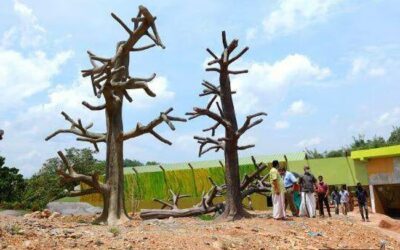 336 ഏക്കര്, 6.5 കിലോമീറ്റര് ചുറ്റളവ്; രാജ്യത്തെ ആദ്യ ഡിസൈന് മൃഗശാല, പുത്തൂര് സുവോളജിക്കല് പാര്ക്ക് ഉദ്ഘാടനം ഇന്ന്