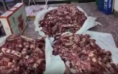 ഓസ്ട്രേലിയൻ ആട്ടിറച്ചിയെന്ന വ്യാജേന വിറ്റത് ഇന്ത്യൻ പോത്തിറച്ചി; തട്ടിപ്പ് സംഘത്തെ പിടികൂടി കുവൈത്ത്