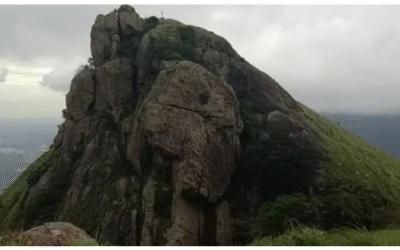 മുന്നറിയിപ്പ് വകവെയ്ക്കാതെ ട്രെക്കിങ്ങ്; യുവാക്കള്‍ കാട്ടിനുള്ളില്‍ കുടുങ്ങി, രക്ഷകരായി വനംവകുപ്പ്, ഇമ്പോസിഷന്‍ ശിക്ഷ