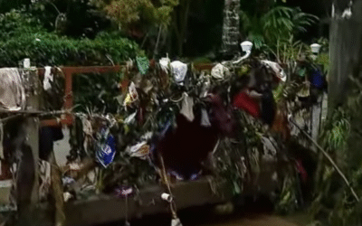 ഇടുക്കിയില്‍ ശക്തമായ മഴ, വീടുകളില്‍ വെള്ളം കയറി; മുല്ലപ്പെരിയാര്‍ അണക്കെട്ട് തുറക്കും