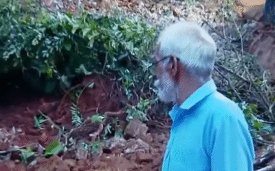 വന്‍ ദുരന്തം ഒഴിവാക്കി മുന്‍കരുതല്‍; അപകടം ബിജുവും സന്ധ്യയും ഭക്ഷണം കഴിക്കാനെത്തിയപ്പോള്‍