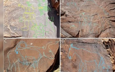 സൗദി അറേബ്യയിലെ മരുഭൂമിയിൽ കണ്ടെത്തിയത് 12,800 വർഷം പഴക്കമുള്ള ശിലാചിത്രങ്ങൾ