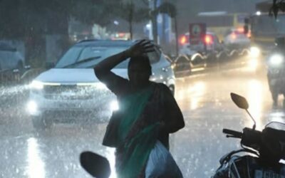 ഇന്നും ശക്തമായ മഴയ്ക്ക് സാധ്യത, നാലു ജില്ലകളില്‍ യെല്ലോ അലര്‍ട്ട്