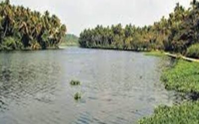 ആക്കുളം പാലത്തില്‍ നിന്ന് കായലിലേക്ക് ചാടിയ 15കാരിയെ രക്ഷപ്പെടുത്തി ഓട്ടോഡ്രൈവർ