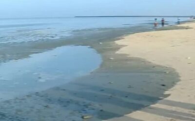 കോഴിക്കോട് ബീച്ചില്‍ ഉള്‍വലിഞ്ഞ് കടല്‍ ; തീരത്ത് ചെളിക്കെട്ട്