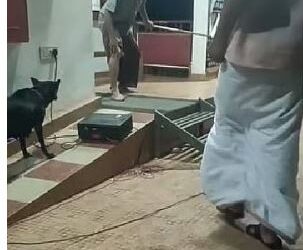 തെരുവുനായ ശല്യത്തിനെതിരായ നാടകത്തിനിടെ കലാകാരനെ നായ കടിച്ചു; നാടകമെന്ന് വിചാരിച്ച് കാണികള്‍