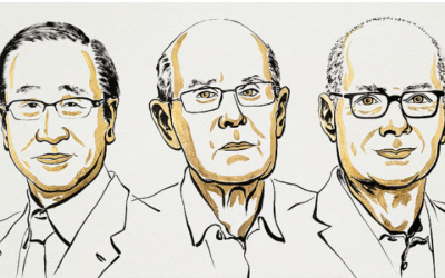 ‘മെറ്റല്‍ ഓര്‍ഗാനിക് ഫ്രെയിം വര്‍ക്ക്‌സ്’; രസതന്ത്ര നൊബേല്‍ പ്രഖ്യാപിച്ചു, പുരസ്‌കാരം മൂന്ന് പേര്‍ക്ക്