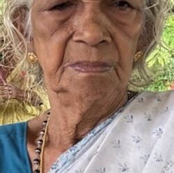 ഓമനകുട്ടിയമ്മ (84) അന്തരിച്ചു