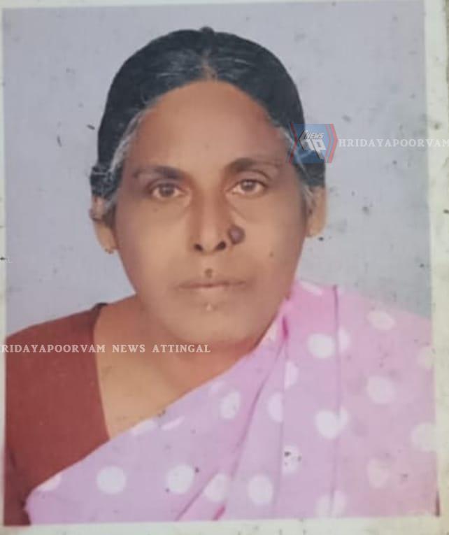 WhatsApp Image 2025-10-15 at 2.54.27 PM