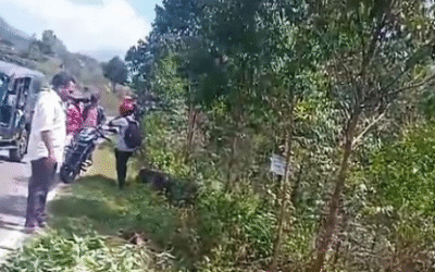 മൂന്നാറില് നിയന്ത്രണംവിട്ട് ജീപ്പ് താഴ്ചയിലേക്ക് മറിഞ്ഞു; സ്കൂള് കുട്ടികള്ക്ക് പരിക്ക്, ഒരാളുടെ നില ഗുരുതരം