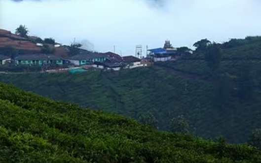 മൂന്നാര്‍ കൊടും തണുപ്പിലേക്ക്, ആറു ഡിഗ്രിയായി താഴ്ന്നു; സഞ്ചാരികളുടെ ഒഴുക്ക്