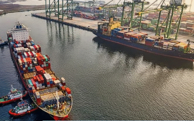 ക്രൂഡ് ഓയില്‍ മാത്രമല്ല, സണ്‍ഫ്ളവര്‍ ഓയിലും റഷ്യയില്‍നിന്ന്; ഇറക്കുമതിയില്‍ വന്‍ വളര്‍ച്ച