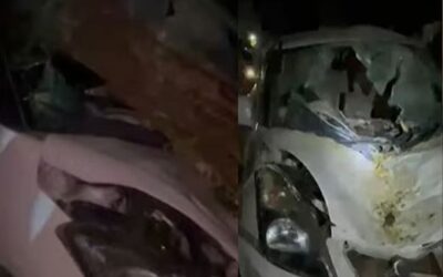 കണ്ടെയ്നര് ലോറി തട്ടി വീണ മരക്കൊമ്പ് കാറില് തുളച്ചു കയറി; യുവതിക്ക് ദാരുണാന്ത്യം