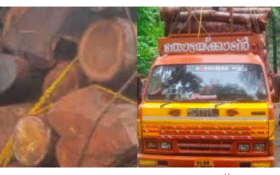 പ്ലാവിനൊപ്പം കടത്തിയത് ലക്ഷങ്ങളുടെ തേക്ക്