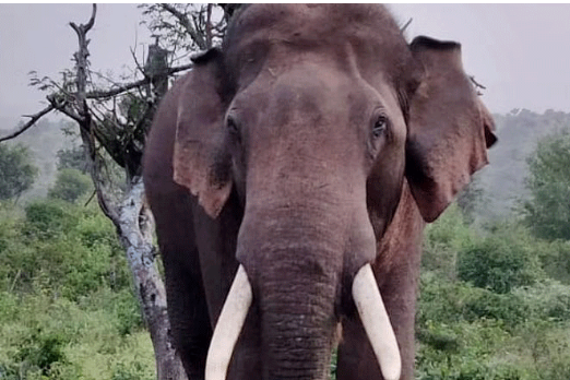 Screenshot 2025-11-27 150006