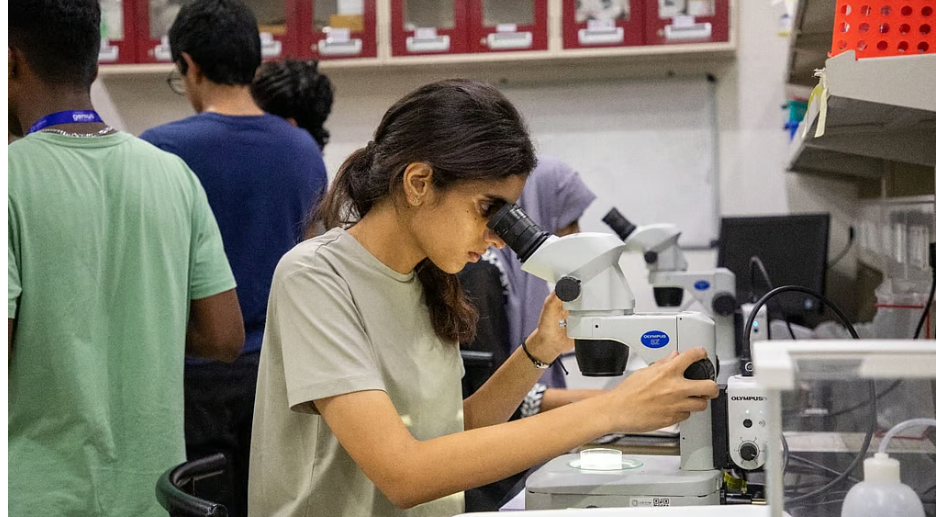 Screenshot 2025-11-28 150052