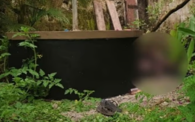 കട്ടപ്പനയില്‍ സ്ത്രീയുടെ മൃതദേഹം കത്തിക്കരിഞ്ഞ നിലയില്‍; അന്വേഷണം