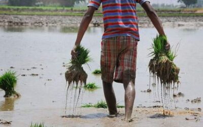 പിഎം കിസാന് സമ്മാന് നിധിയില് അനര്ഹര് കൈപ്പറ്റിയത് തിരിച്ചുപിടിച്ച് കേന്ദ്രം