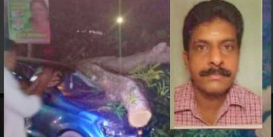 തിരുവനന്തപുരത്ത് മരം വീണ് കെഎസ്ആർടിസി റിട്ടേയ്ഡ് കണ്ടക്ടർക്ക് ദാരുണാന്ത്യം