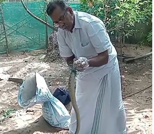 ഈ സ്ഥാനാർത്ഥി വോട്ട് മാത്രമല്ല, പാമ്പിനേയും പിടിക്കും!