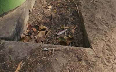 അഞ്ചുതെങ്ങിലെ ഓട അടഞ്ഞു: പൊതുമരാമത്ത് വകുപ്പ് മന്ത്രിക്ക് പരാതി നൽകി