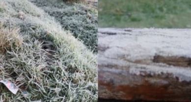 ഊട്ടിയില്‍ പൂജ്യത്തിനും താഴേക്ക് താപനില; ഒഴുകുന്നത് ആയിരക്കണക്കിന് ടൂറിസ്റ്റുകൾ