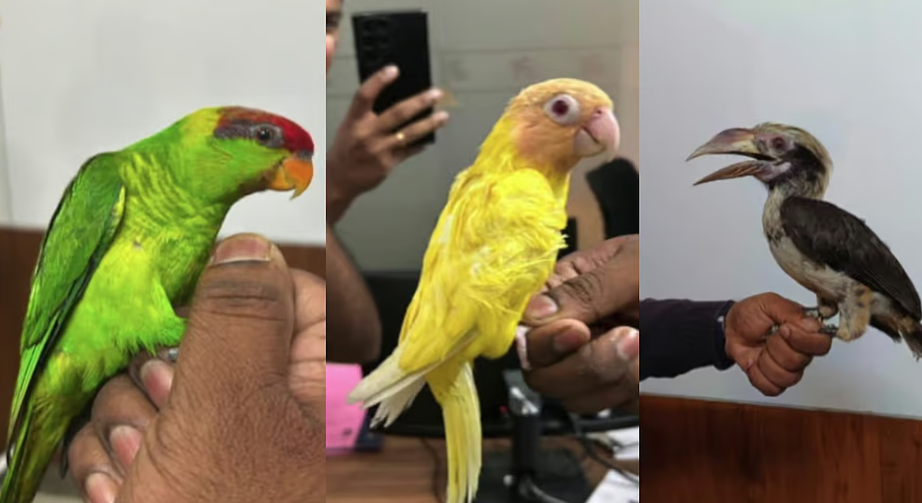 Screenshot 2025-12-04 145436