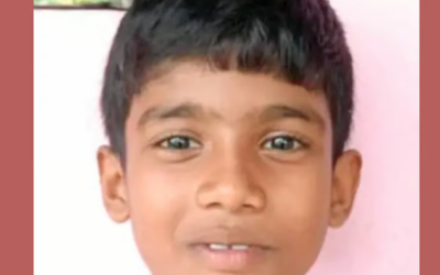 വീടിന് മുന്നിലെ പടിയില്ക്കിടന്ന പാമ്പിനെ ചവിട്ടി; എട്ടുവയസുകാരന് മരിച്ചു, നഷ്ടമായത് ഏകമകനെ