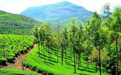 വൃശ്ചിക കുളിരില് കേരളം, മൂന്നാറില് 10 ഡിഗ്രിയില് താഴെ