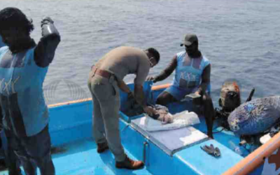 ലഹരിക്കടത്ത് തടയാൻ കടലിൽ പരിശോധന