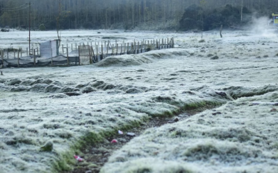 മൂന്നാറില്‍ വീണ്ടും മൈനസ് താപനില, തണുത്തുറഞ്ഞ് ഹിൽസ്റ്റേഷൻ, സഞ്ചാരികളുടെ ഒഴുക്ക്; വയനാട്ടിലും അതിശൈത്യം