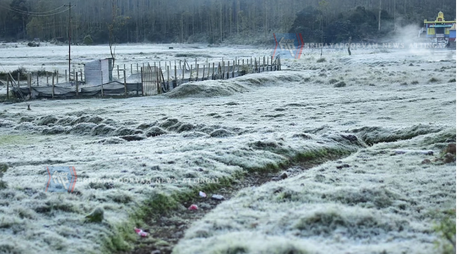 മൂന്നാറില്‍ വീണ്ടും മൈനസ് താപനില, തണുത്തുറഞ്ഞ് ഹിൽസ്റ്റേഷൻ, സഞ്ചാരികളുടെ ഒഴുക്ക്; വയനാട്ടിലും അതിശൈത്യം