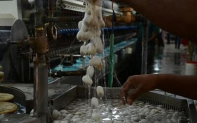 സെൻട്രൽ സിൽക്ക് ബോ‍ർഡിൽ സയ​ന്റിസ്റ്റ് തസ്തികയിൽ ഒഴിവുകൾ, ഇപ്പോൾ അപേക്ഷിക്കാം; ശമ്പളം 1,77,500 രൂപ വരെ