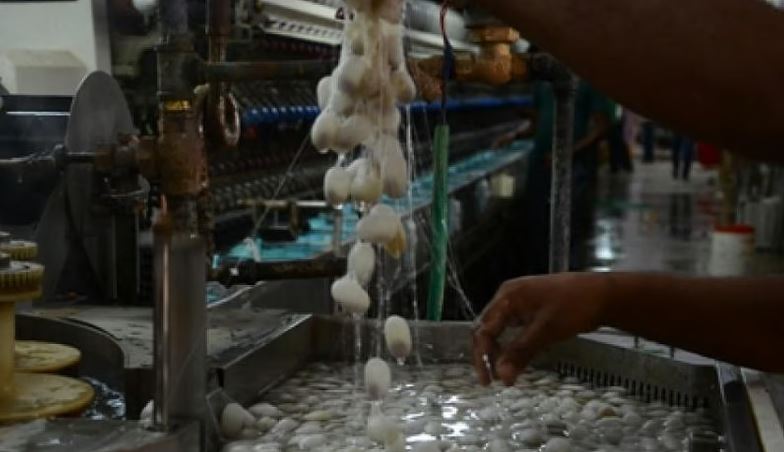 സെൻട്രൽ സിൽക്ക് ബോ‍ർഡിൽ സയ​ന്റിസ്റ്റ് തസ്തികയിൽ ഒഴിവുകൾ, ഇപ്പോൾ അപേക്ഷിക്കാം; ശമ്പളം 1,77,500 രൂപ വരെ