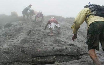 അഗസ്ത്യാര്‍കൂടം ട്രക്കിങ് 14 മുതല്‍; ഓണ്‍ലൈന്‍ ബുക്കിങ് രണ്ട് ഘട്ടമായി