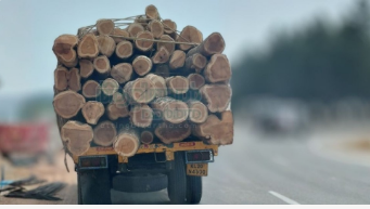 ആറ്റിങ്ങലിൽ 10 ടൺ ഓളം വരുന്ന തേക്കിൻ തടി ജി എസ് ടി വിഭാഗം പിടികൂടി