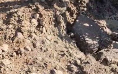 പൊതുസ്ഥലത്ത് ശുചിമുറി മാലിന്യ നിക്ഷേപം, നിയന്ത്രിക്കാനാകാതെ അധികൃതർ