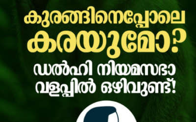 നിയമസഭയിൽ പുതിയൊരു ജോലി ഒഴിവ്