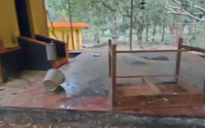 അതിരപ്പിള്ളിയില്‍ കാട്ടാനക്കൂട്ടം ക്ഷേത്രം തകര്‍ത്തു; ലയങ്ങൾക്ക് കേടുപാട്