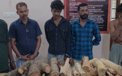 വർക്കലയിൽ ചന്ദനത്തടികളുമായി അഞ്ചുപേർ പിടിയിൽ; അറസ്റ്റിലായവരിൽ ഗുണ്ടാ ലിസ്റ്റിലെ പ്രതിയും