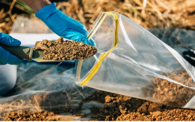 ലാബ് അസിസ്റ്റന്റ് മുതൽ റിസർച്ച് അസിസ്റ്റന്റ് വരെ: പന്ത്രണ്ടാം ക്ലാസുകാർക്കും അവസരം