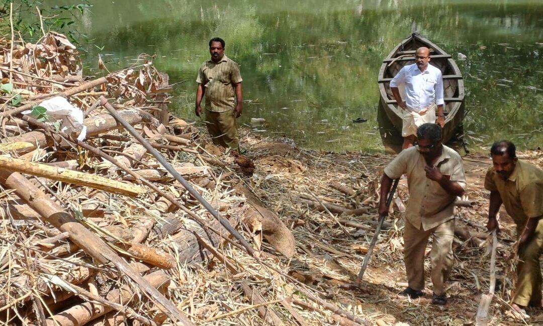 ചെയർമാൻ ഇടപെട്ടു പനവേലി കടവിൽ തടസ്സമായി കിടന്ന മുളത്തടികൾ നീക്കം ചെയ്തു