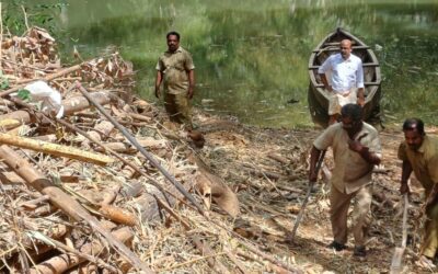 ചെയർമാൻ ഇടപെട്ടു പനവേലി കടവിൽ തടസ്സമായി കിടന്ന മുളത്തടികൾ നീക്കം ചെയ്തു